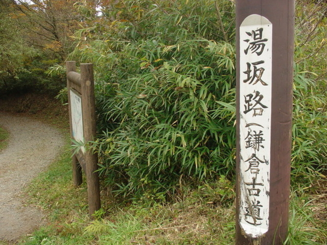 箱根旧街道