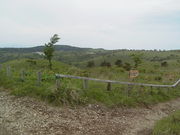 ひっちぃさんの八ヶ岳中信高原国定公園高ボッチ・鉢伏高原の投稿写真1