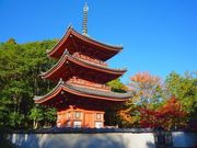 スタジオYOUさんの井山宝福寺の投稿写真1