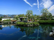 KUMA.さんの杖の淵公園の投稿写真1