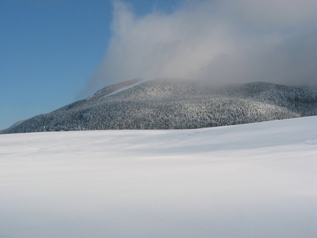 台風5号さんの天間草原の投稿写真1