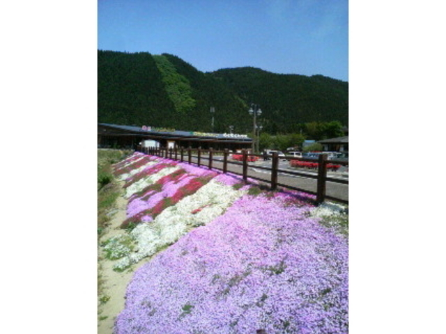 道の駅 津山 もくもくランド
