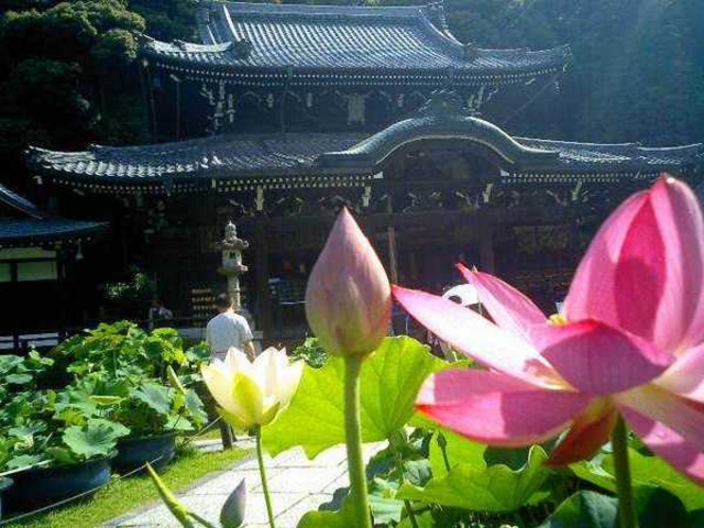 三室戸寺