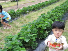 りさてつさんの道の駅 丹後王国「食のみやこ」への投稿写真1
