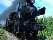 とり鉄さんの八代城跡の投稿写真1