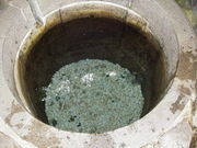 夢邪鬼さんの桂葉清水の投稿写真1