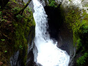 WINちゃんさんのオウ穴群の投稿写真1