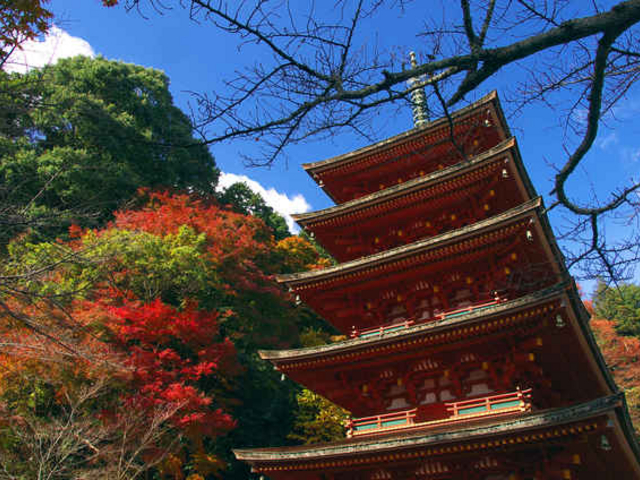長谷寺(奈良県桜井市)