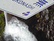 ひろさんの鹿ヶ壺キャンプ場の投稿写真1