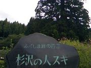 いちまささんの杉沢の大杉の投稿写真1