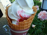 Hiroさんの島田市ばらの丘公園の投稿写真1