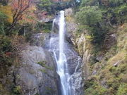 リー1223さんの五家荘の紅葉の投稿写真1