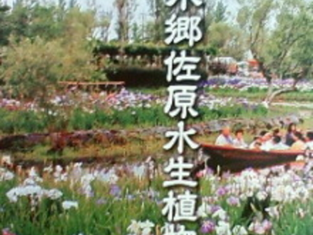 水郷佐原あやめパークのアヤメ・花菖蒲・はす・スイレン