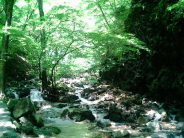竜化の滝