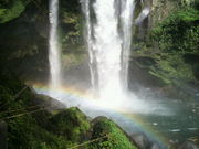 パピルスさんの犬飼滝の投稿写真1