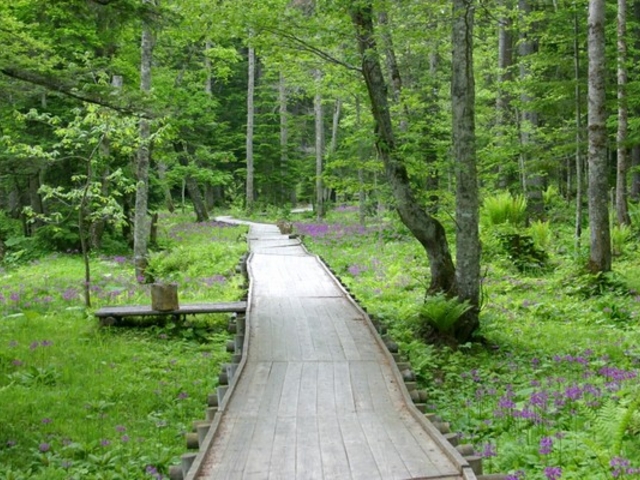 森つべつさんのノンノの森(町民の森自然公園)の投稿写真1