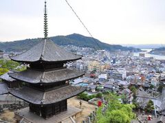天寧寺の写真1