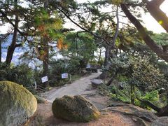文学のこみちの写真1