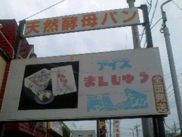 シロフジ
