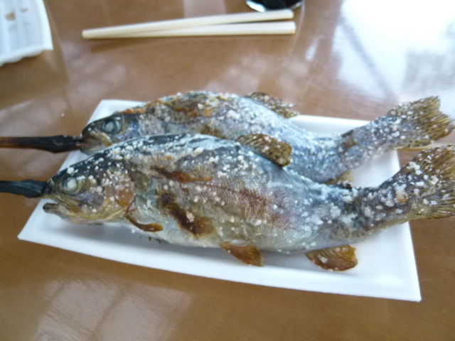 滝のある釣り堀 那須高原 清流の里
