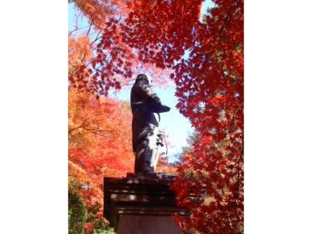 キクさんの東郷公園の投稿写真1