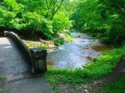 パンダ号さんの銀山遊歩道の投稿写真1