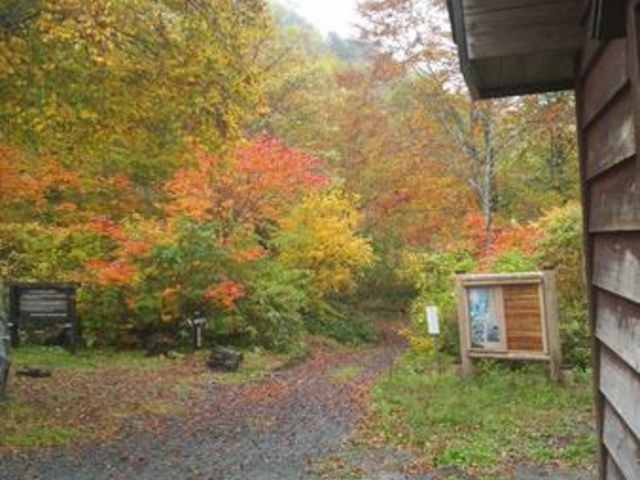 奥利根水源の森