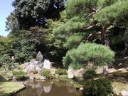 雷雷クーンさんの大善寺庭園の投稿写真1