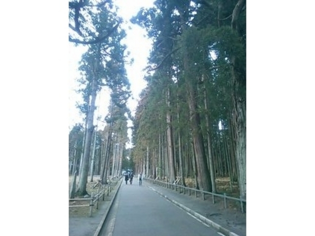 瑞巌寺
