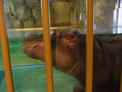 Toko10さんの旭山動物園への投稿写真1