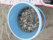 かんれいさんの海の公園の投稿写真1