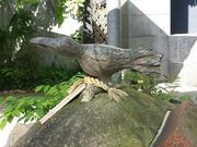 さゆりさんの源泉公園の投稿写真1