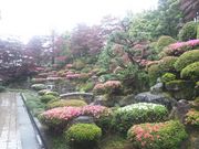 ゆみぶさんの仁王山護国寺の投稿写真1