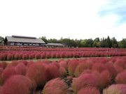 えすさんの国営みちのく杜の湖畔公園の投稿写真1