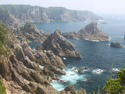 ネコにゃんにゃんにゃん!さんの海金剛の投稿写真1