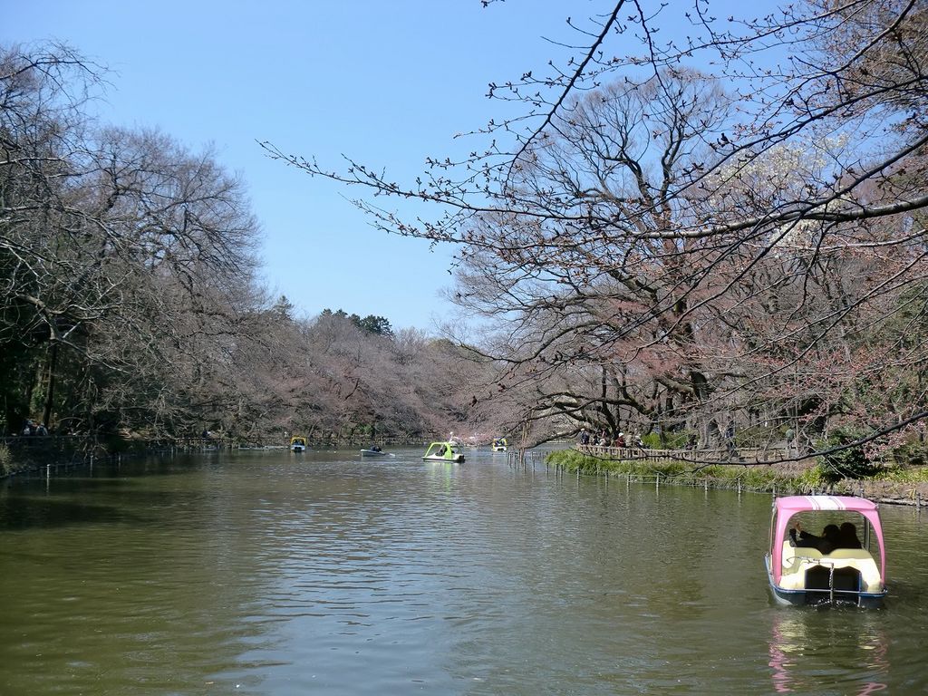 井の頭恩賜公園