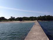 かすみさんの佐久島の投稿写真1