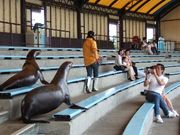 みほこさんの南知多ビーチランド&南知多おもちゃ王国の投稿写真1