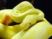 マッチさんの体感型動物園 iZooの投稿写真1