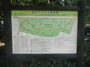 asamiyさんの越谷アリタキ植物園の投稿写真1