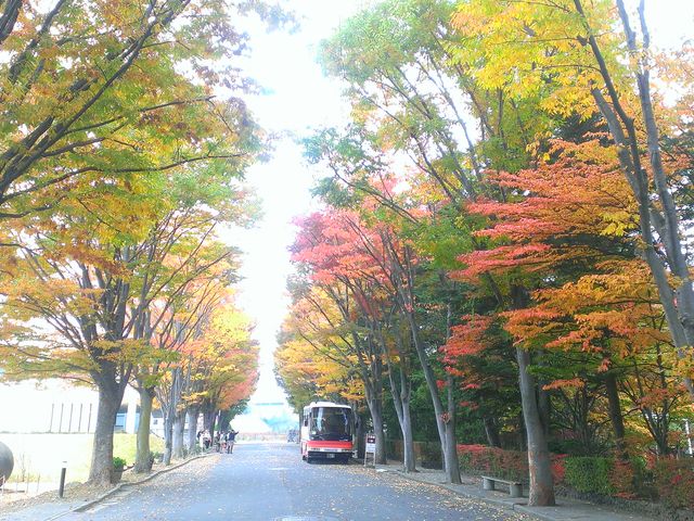 紅葉もきれいです。_マンズワイン(株)小諸工場
