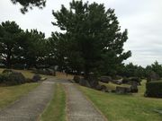 はまっこさんの片男波公園の投稿写真4