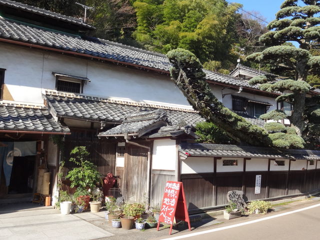 店舗入り口と松_向井酒造