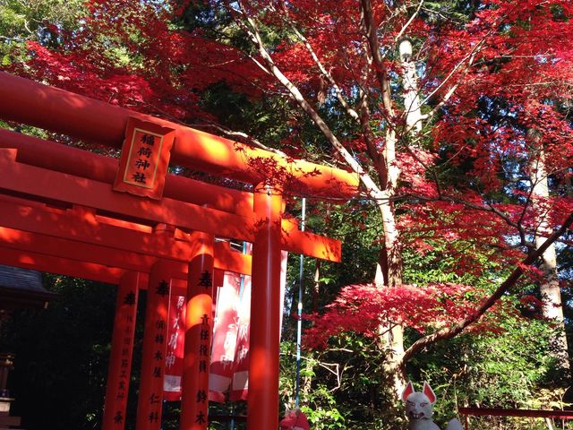 お稲荷さんの紅葉です。_龍尾神社