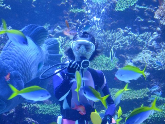 お魚のお食事タイムのショーです。_大分マリーンパレス水族館「うみたまご」