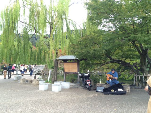 有名なギター弾き_円山公園