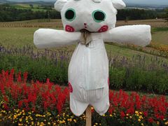 ふゎゎさんの深山峠アートパークへの投稿写真1