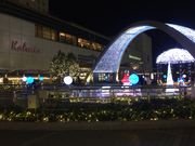 あがっち!さんのカルミアの投稿写真3