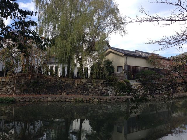 水郷めぐり(近江八幡和船観光協同組合)