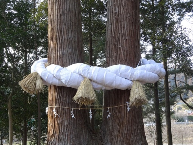 じゅんさんの刈田嶺神社(白鳥大明神)の投稿写真1